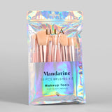 Kit de brochas Mandarine X 10 pcs 