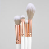 Kit de brochas Sunshine X 10 pcs